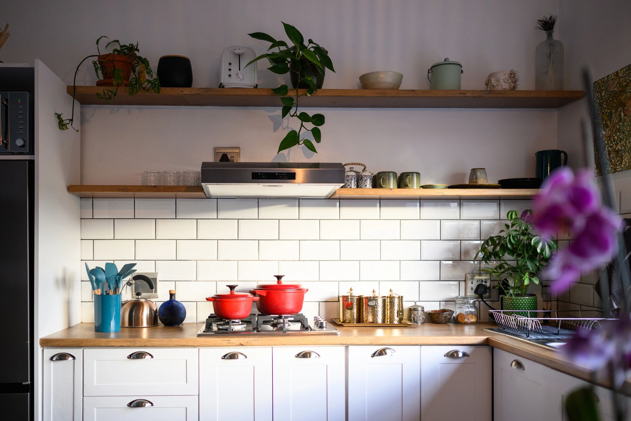 Clean modern kitchen showing a tidy pest-resistant environment